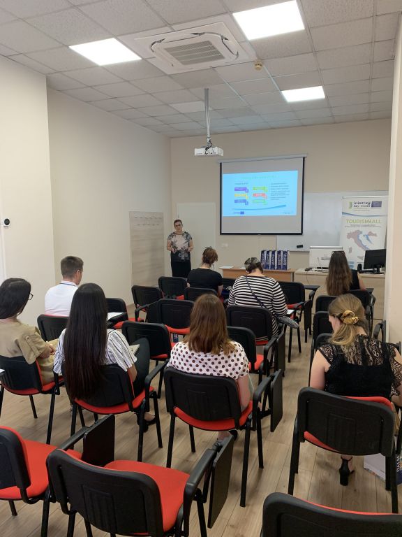 Održan zajednički webinar projekata REVIVAL i TEMPUS