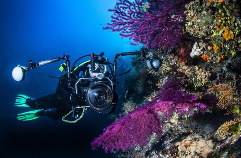 INTERREG Rt Stupišće kao €Ëœno take€Ëœ zona: u Veneciji predstavljen projekt Adrireef