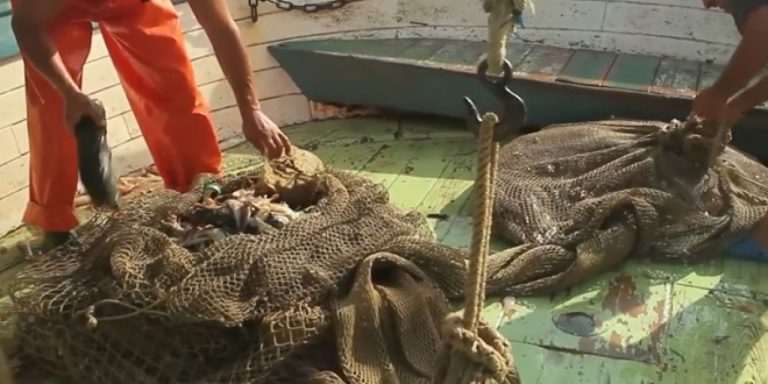 Projekt FISHNOWASTE – ribari bi mogli očistiti Jadran?
