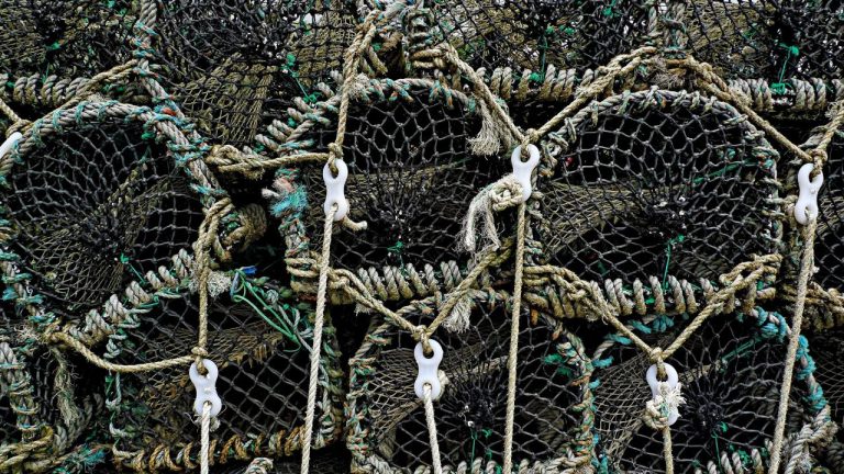 Odobren novi Program za ribarstvo i akvakulturu vrijedan 2,6 milijardi kuna